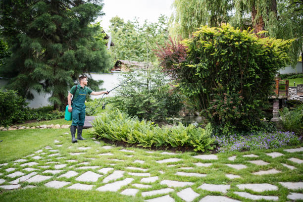 Best Affordable Pest Control Services  in Tappan, NY