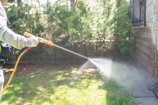 Best Best Pest Control Companies  in Tappan, NY