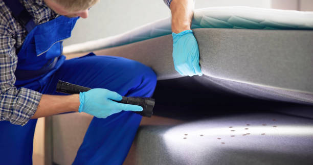 Best Local Pest Control Services  in Tappan, NY